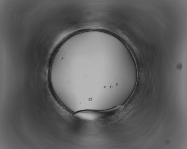 X0000096971416200803070955