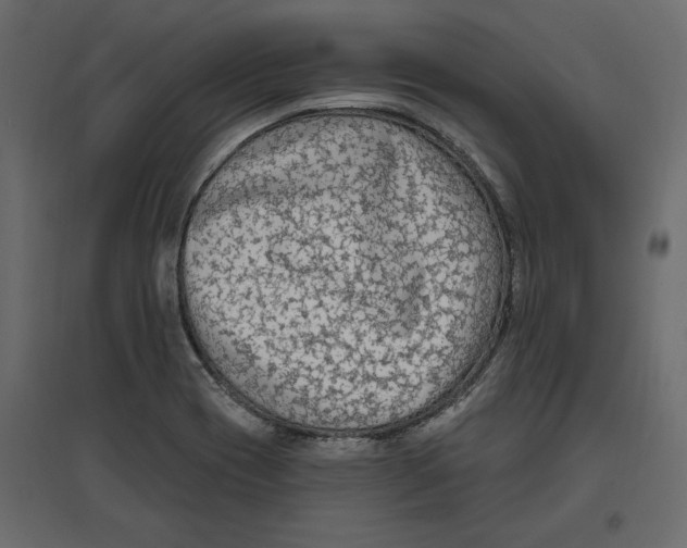 X0000096971417200803070955