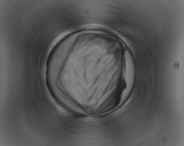 X0000096971418200803070955