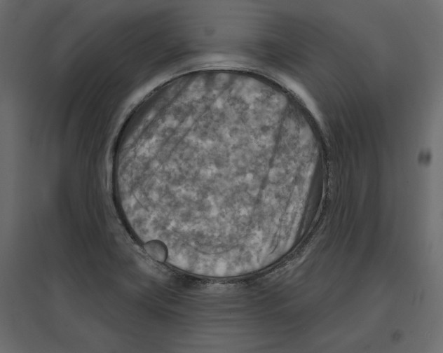 X0000096971419200803070955