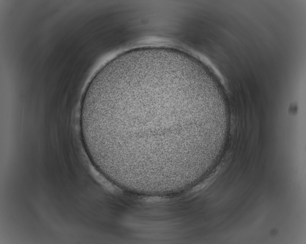 X0000096971421200803070955