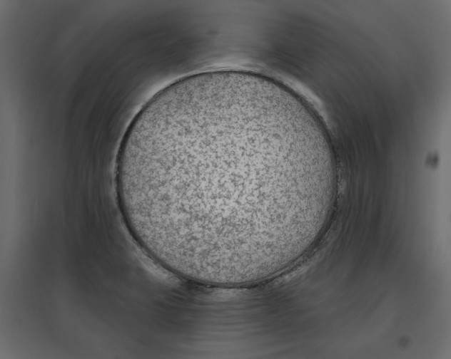 X0000096971423200803070955