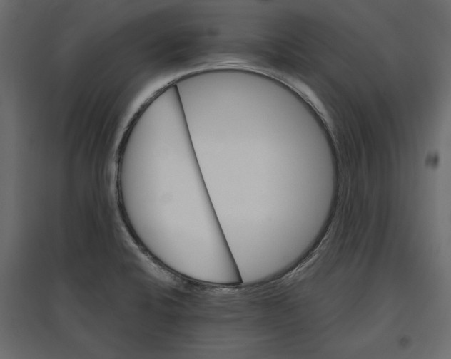 X0000096971424200803070955