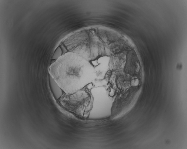 X0000096971425200803070955