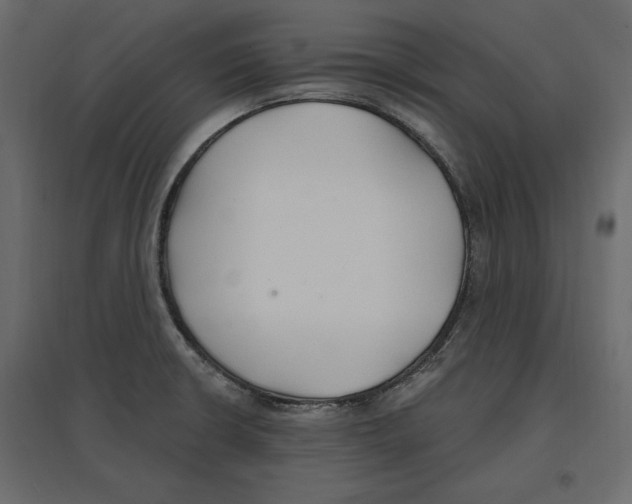 X0000096971426200803070955