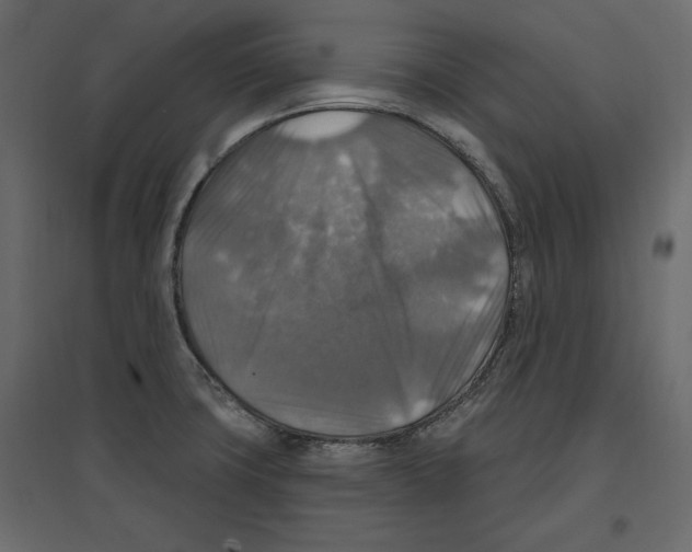 X0000096971427200803070955