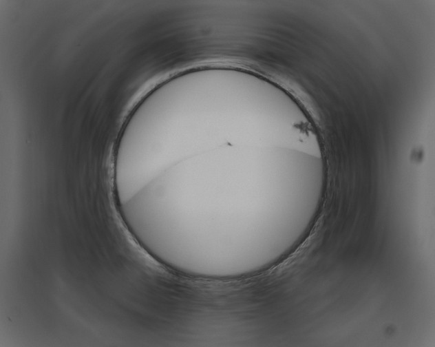 X0000096971428200803070955