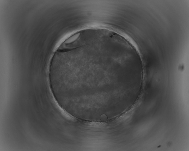 X0000096971429200803070955