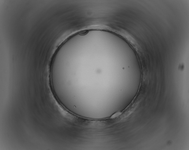 X0000096971430200803070955