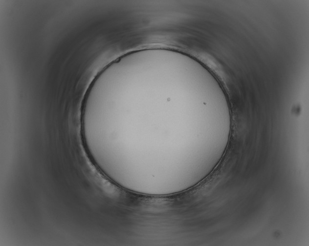 X0000096971431200803070955