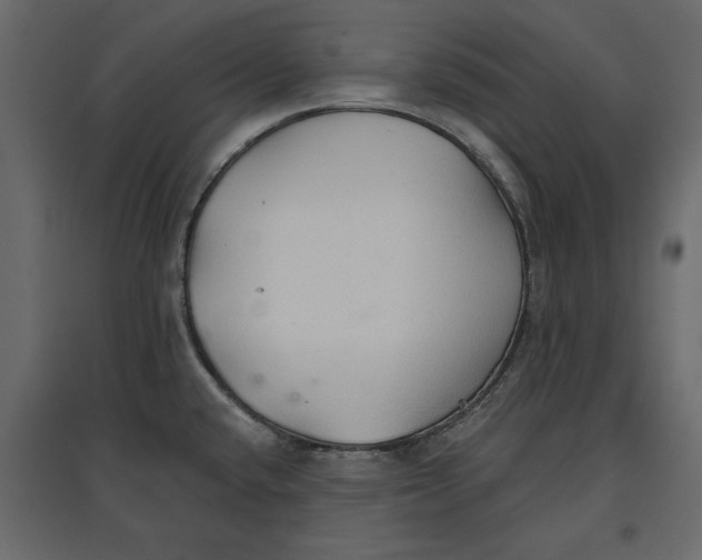 X0000096971432200803070955