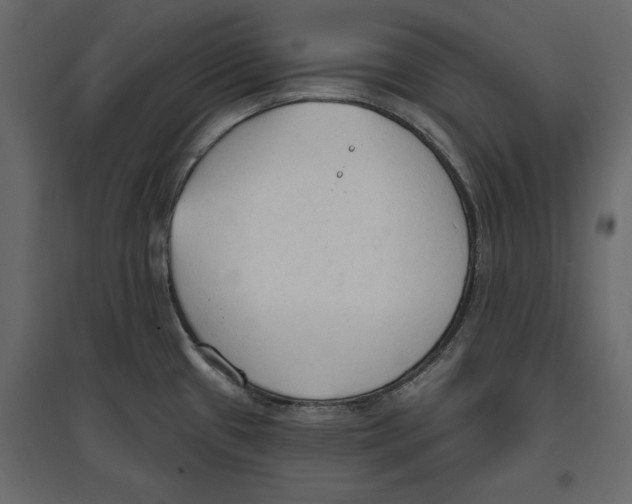 X0000096971433200803070955