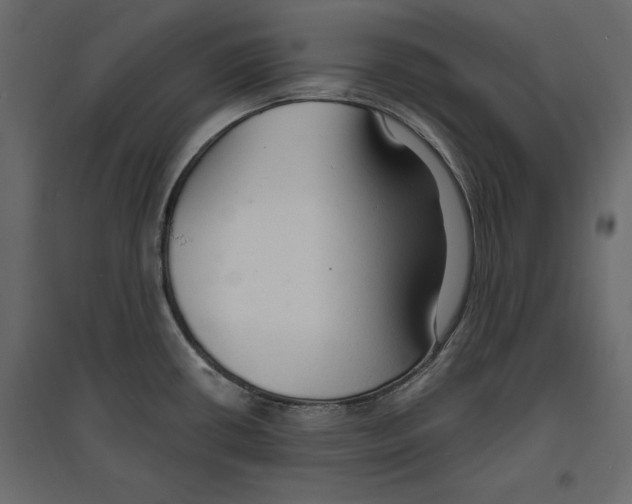 X0000096971434200803070956