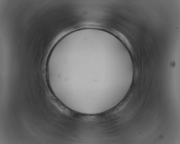 X0000096971435200803070956