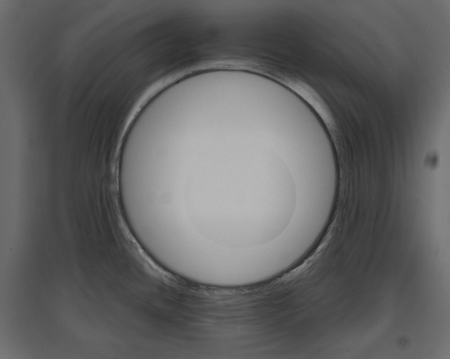 X0000096971436200803070956