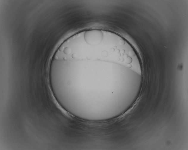 X0000096971437200803070956