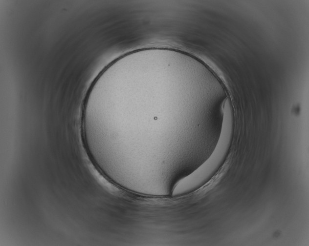 X0000096971438200803070956