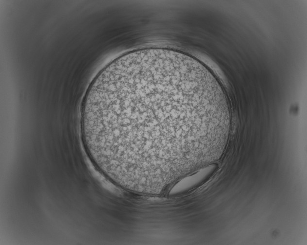 X0000096971439200803070956