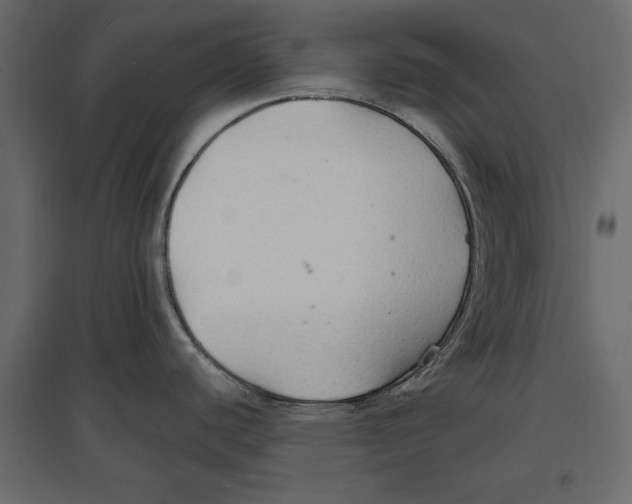 X0000096971440200803070956