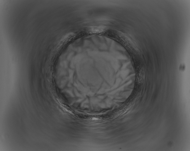 X0000096971441200803070955