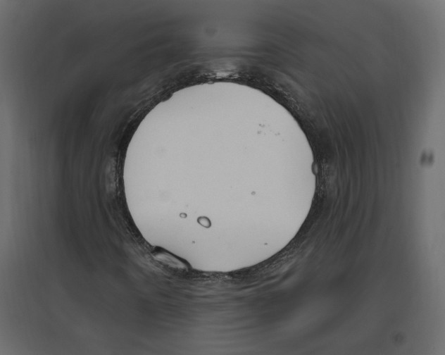 X0000096971442200803070955