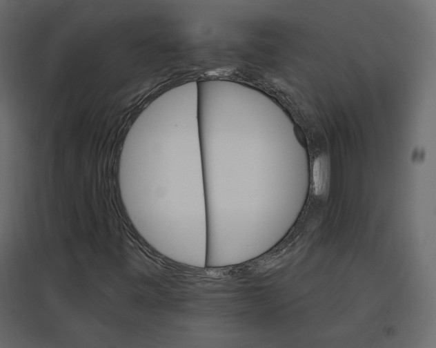 X0000096971443200803070955