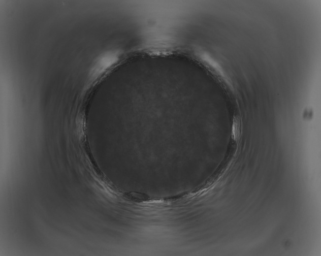 X0000096971444200803070955