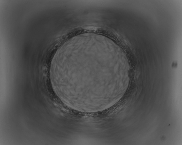 X0000096971445200803070955