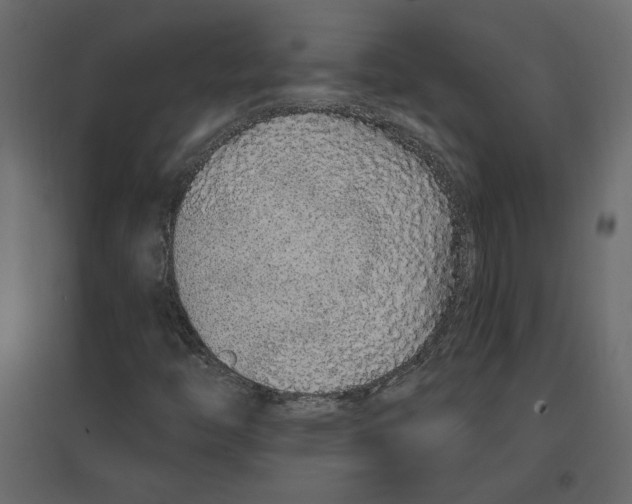 X0000096971446200803070955