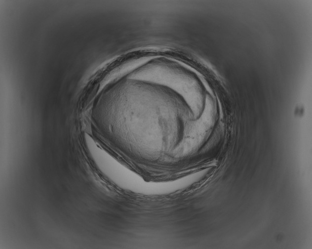 X0000096971448200803070955