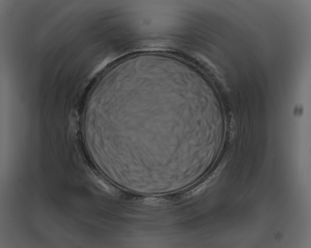 X0000096971449200803070955