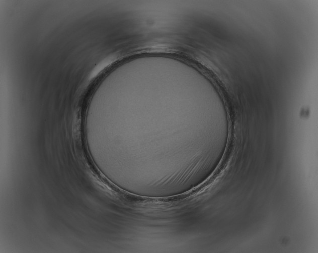 X0000096971450200803070955