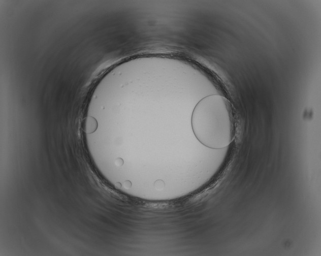 X0000096971451200803070955