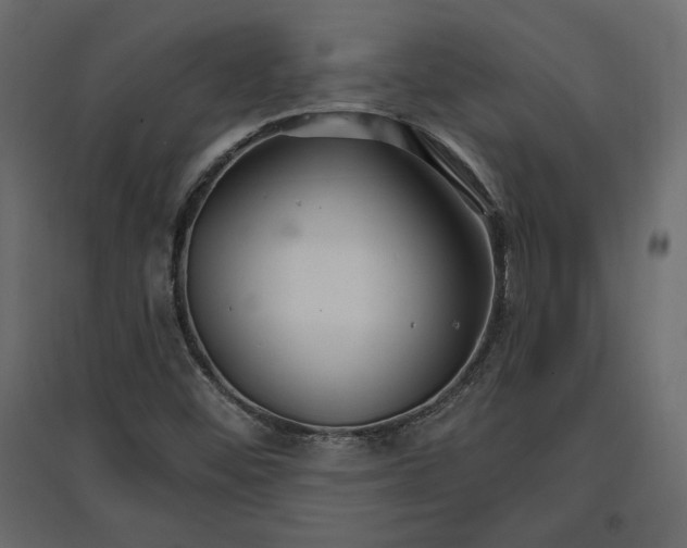 X0000096971452200803070955