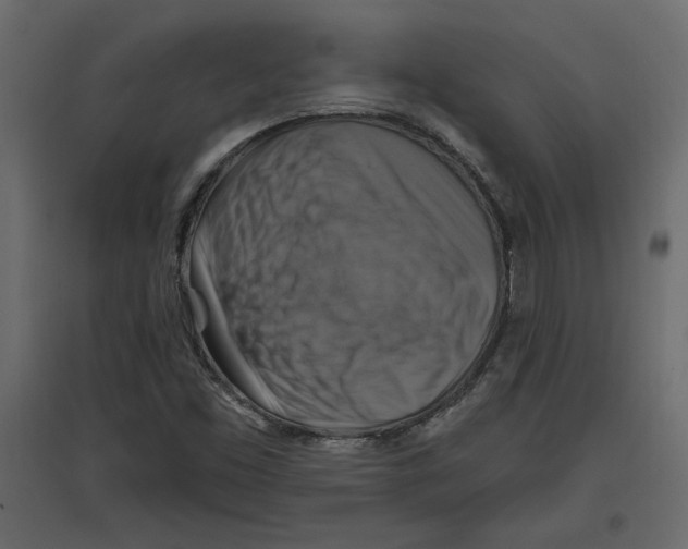 X0000096971453200803070955