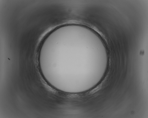 X0000096971454200803070955