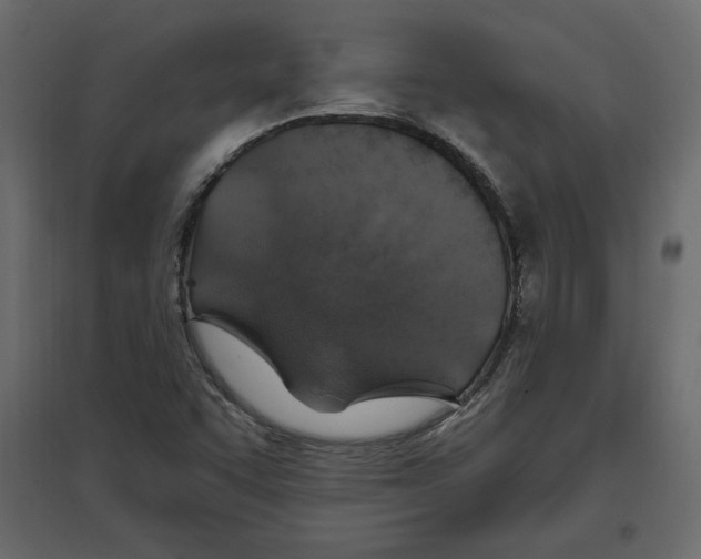 X0000096971455200803070955