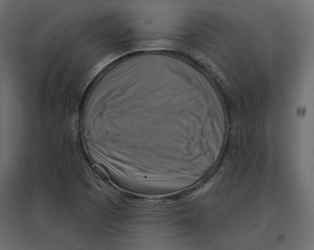 X0000096971457200803070955