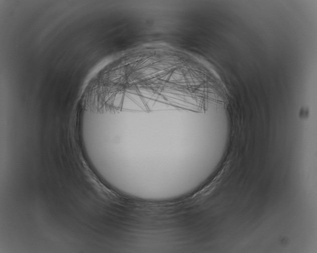 X0000096971458200803070955