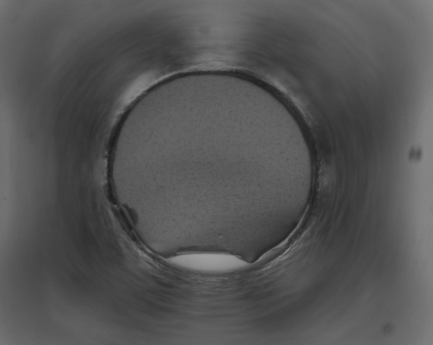 X0000096971459200803070955