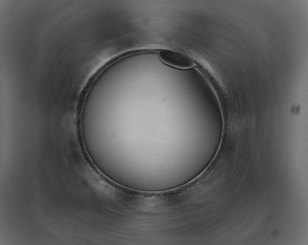 X0000096971460200803070955