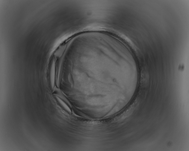 X0000096971461200803070954