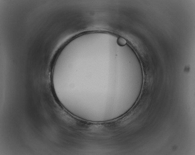 X0000096971462200803070954