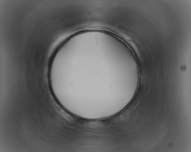 X0000096971464200803070954