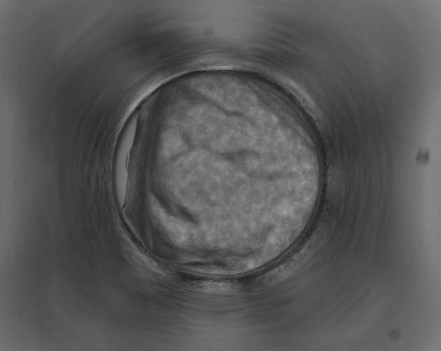 X0000096971465200803070954