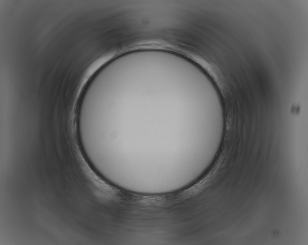 X0000096971466200803070954