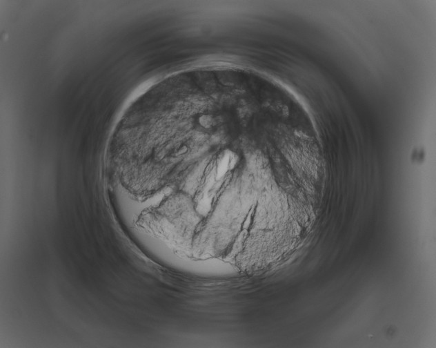 X0000096971467200803070954