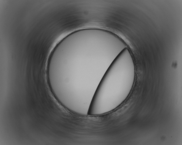 X0000096971469200803070954