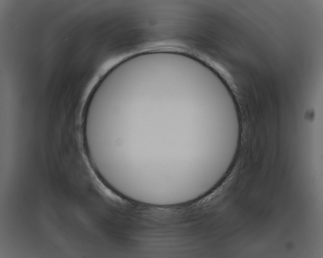 X0000096971470200803070954