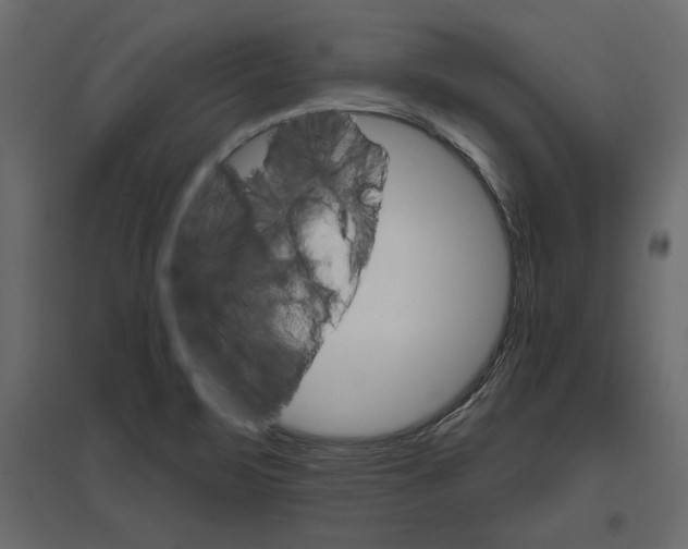 X0000096971471200803070954